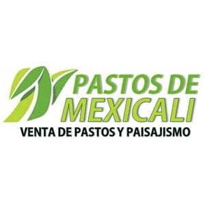 Foto de Pastos De Mexicali Mexicali