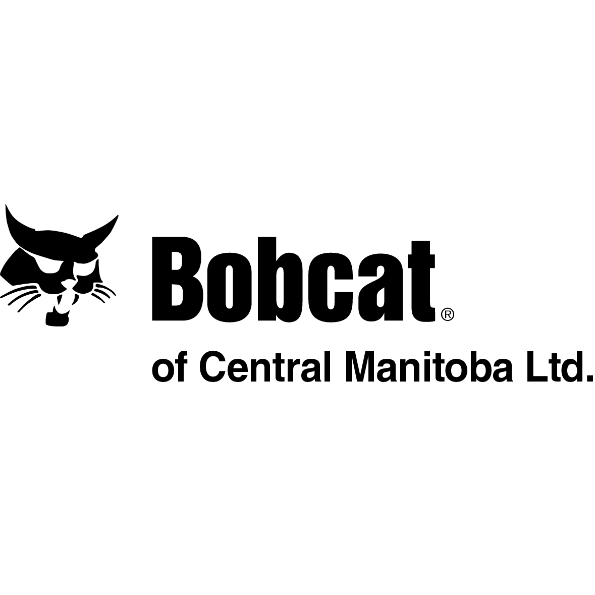 Bobcat of Central Manitoba