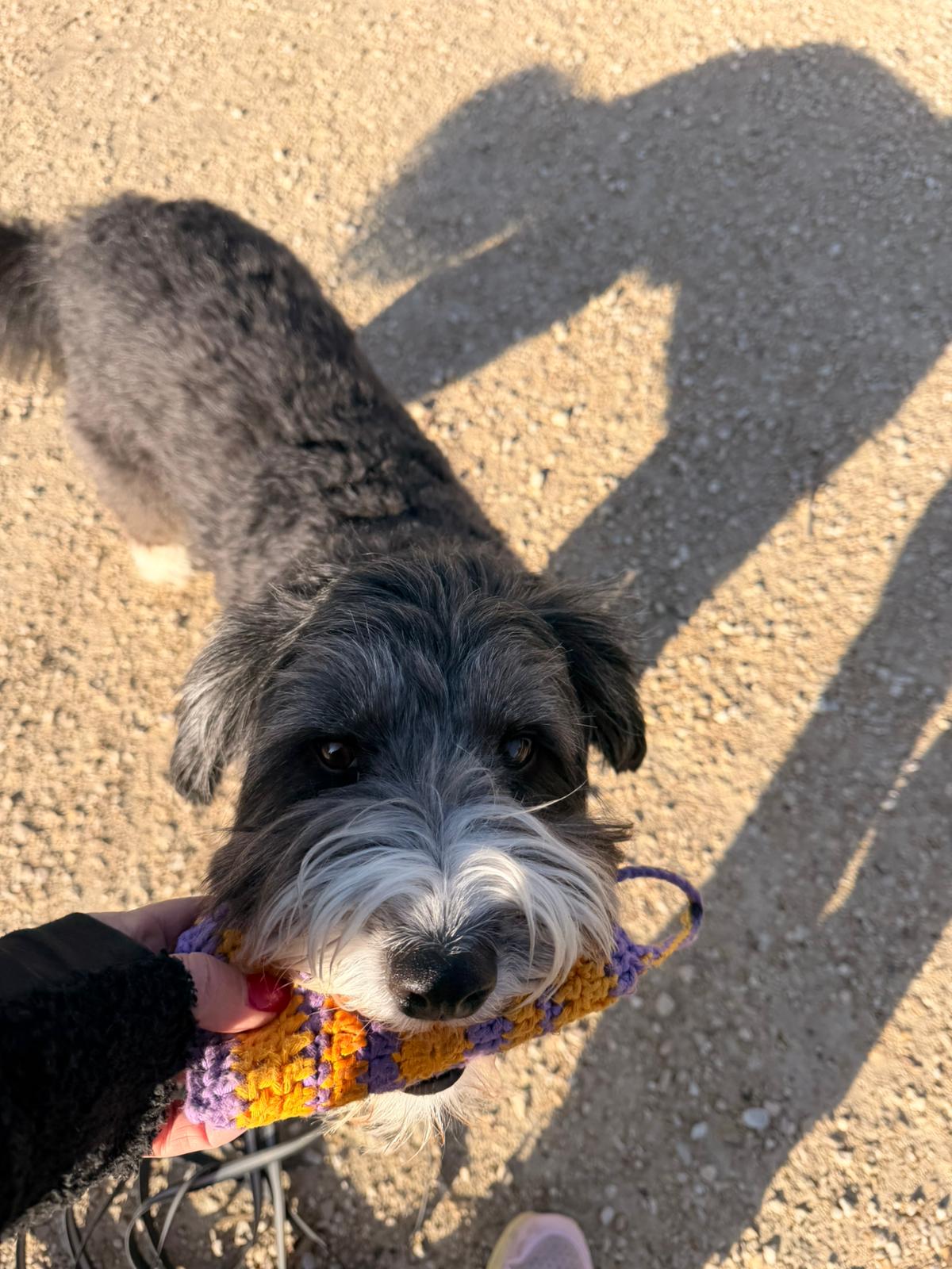 Pet-Relax, Unter Den Hollen 3 in Duggingen