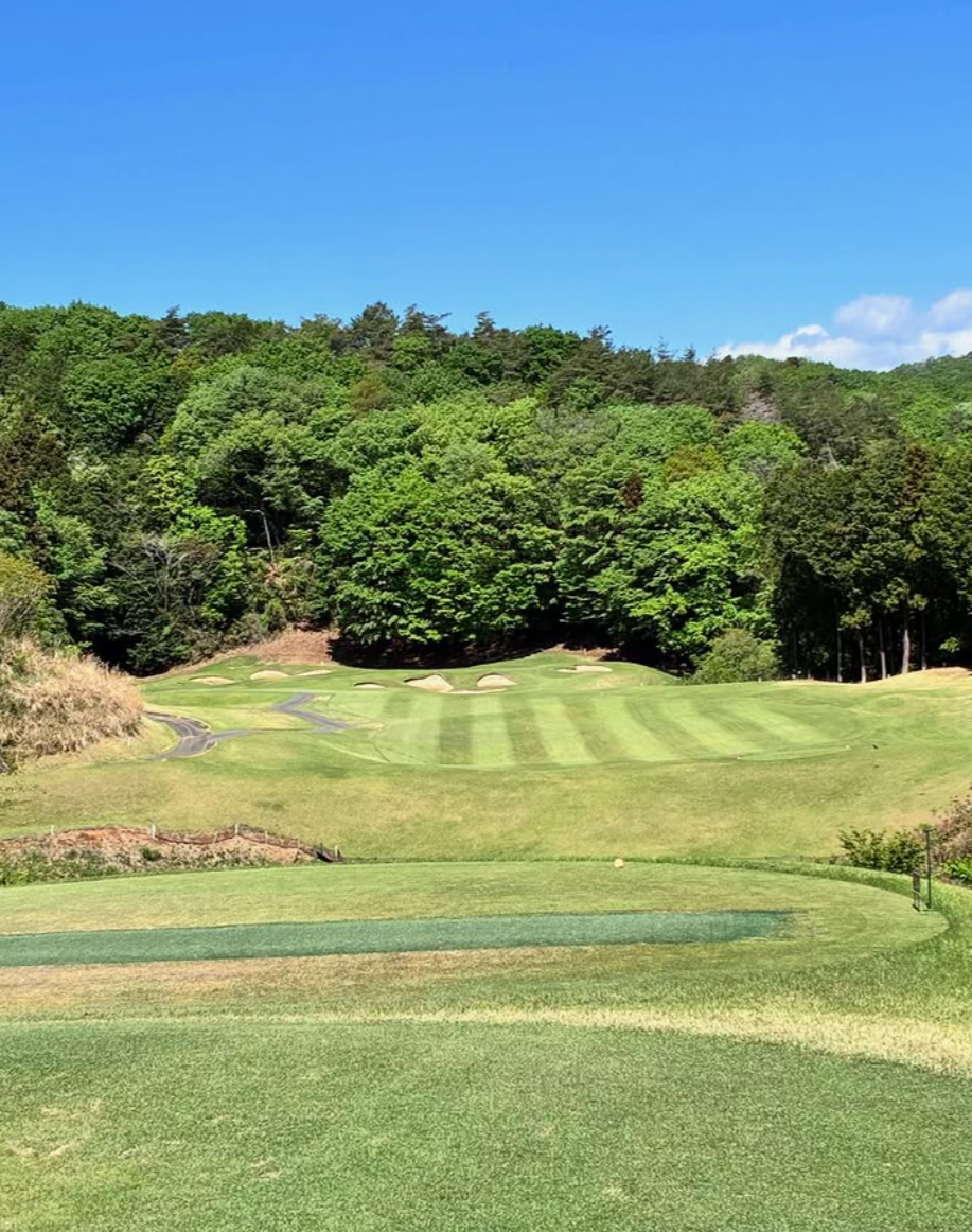 Images VZONEGOLF