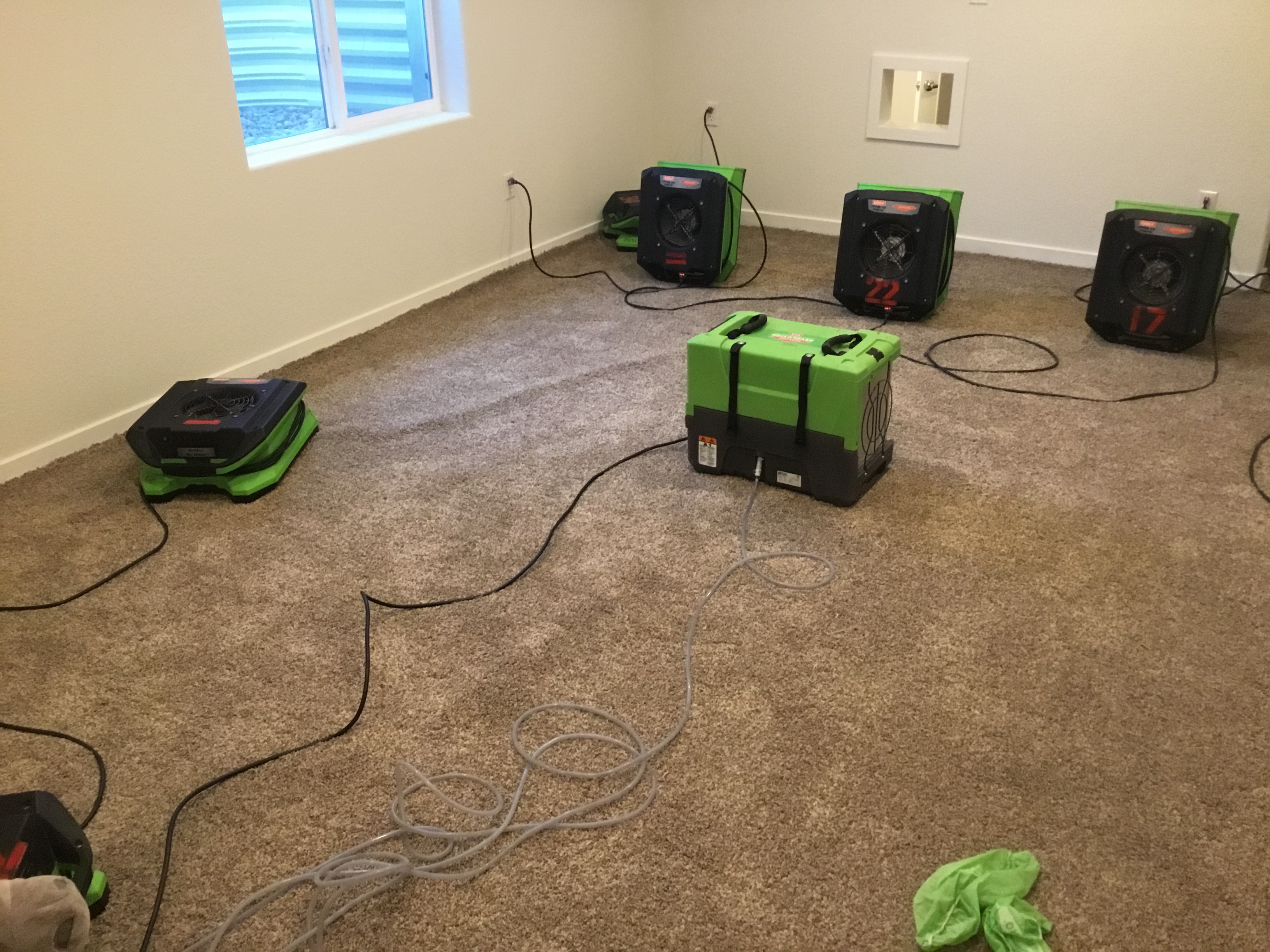 SERVPRO of North Thornton / Brighton Photo