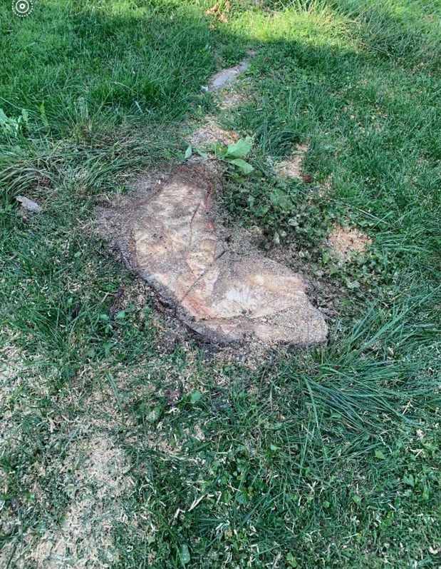 Images Prather Landscaping & Tree Service