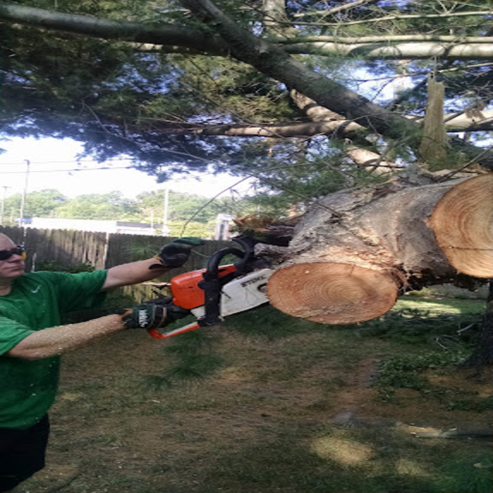 Images Quality Lawn Care by Nick Mayes