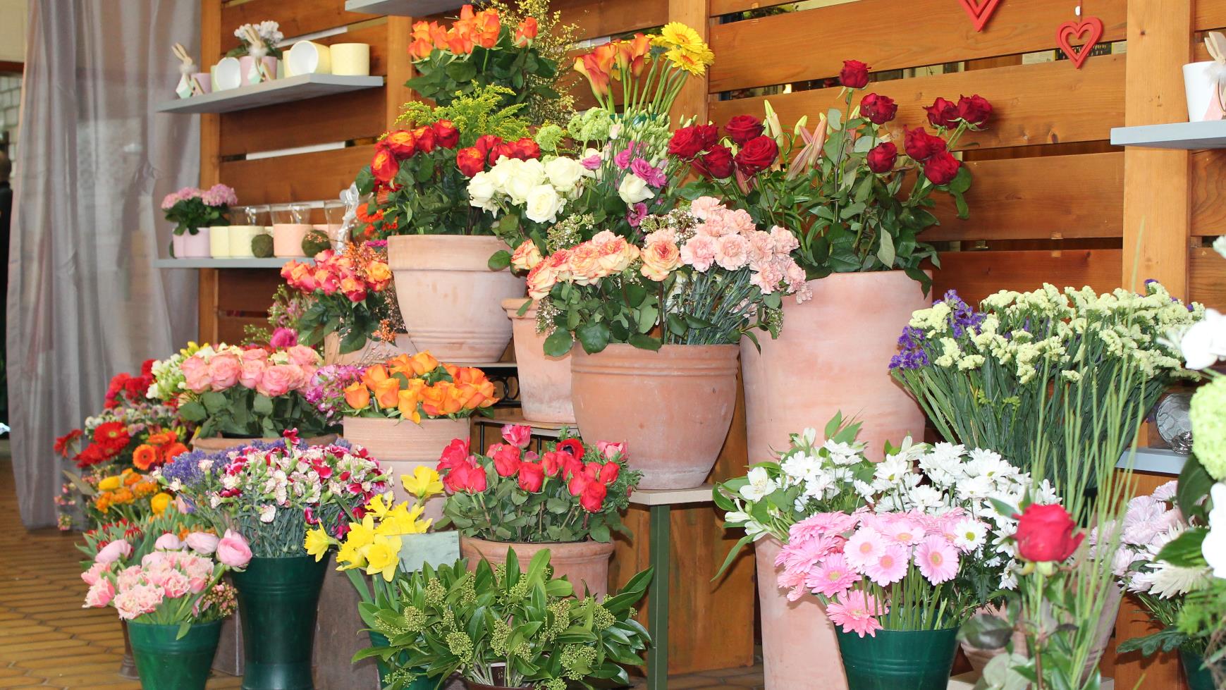 Blumen Petsch, Äußere Brucker Straße 53 in Erlangen