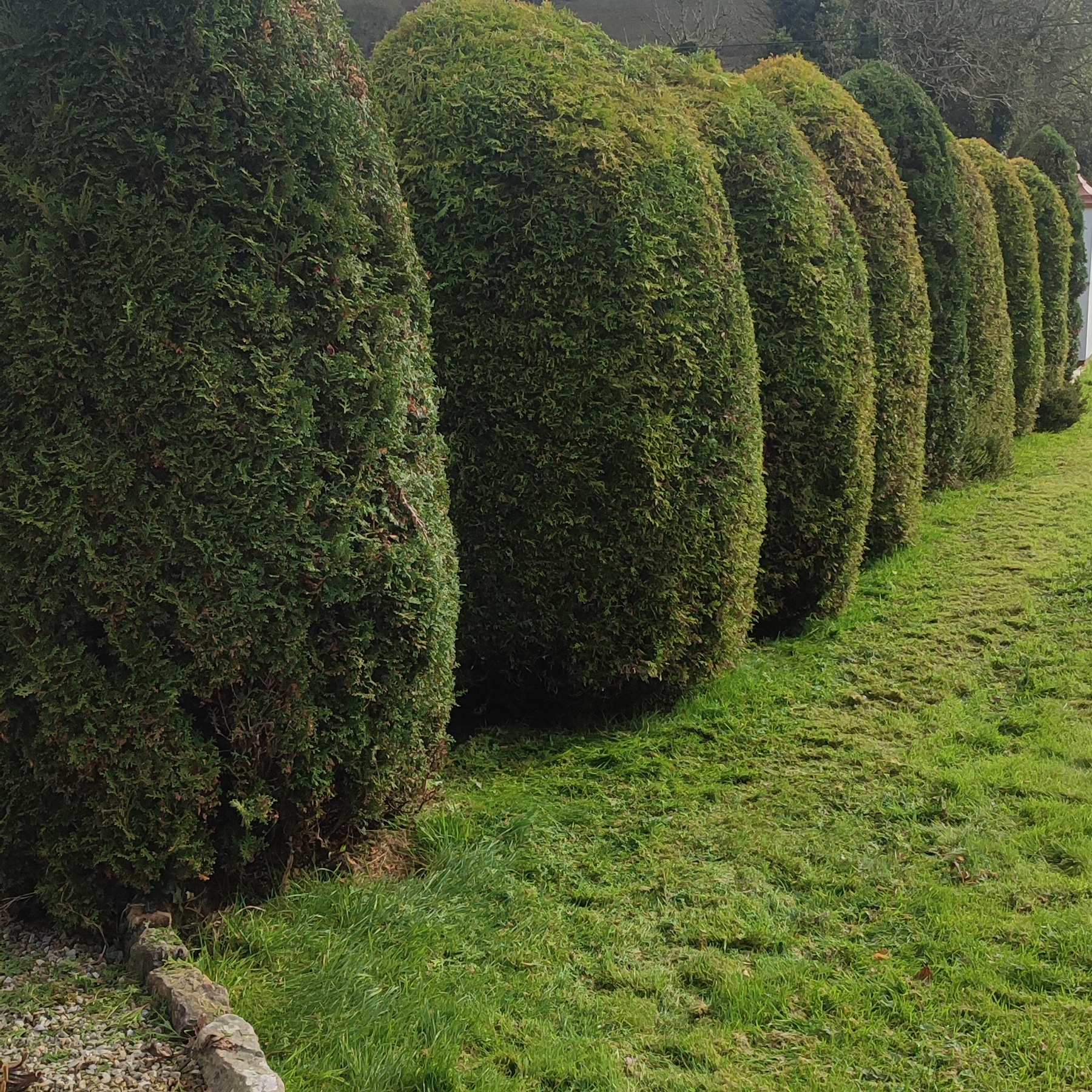 Hedge Cutting, Garden Maintenance, Power Washing, Gutter Cleaning, Decking, Fencing