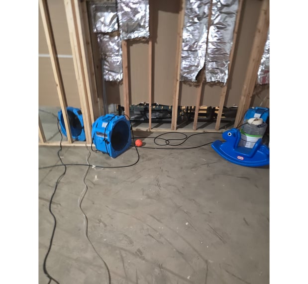 Images AIM Green Restoration