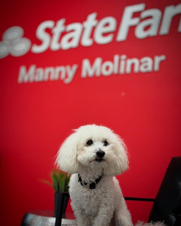 Images Manuel Molinar - State Farm Insurance Agent
