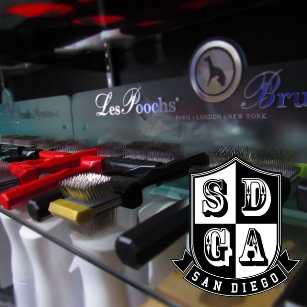Images San Diego Grooming Academy