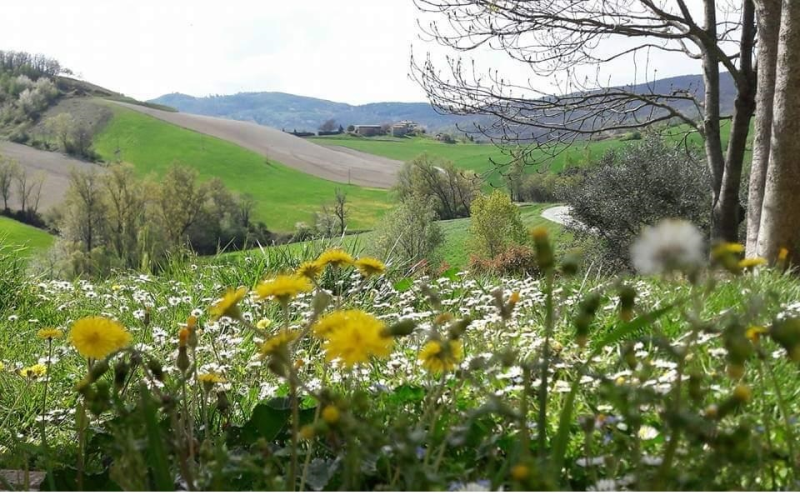Images Agriturismo Il Colore del Grano