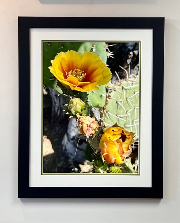 Images Gallagher's Gallery and Framing