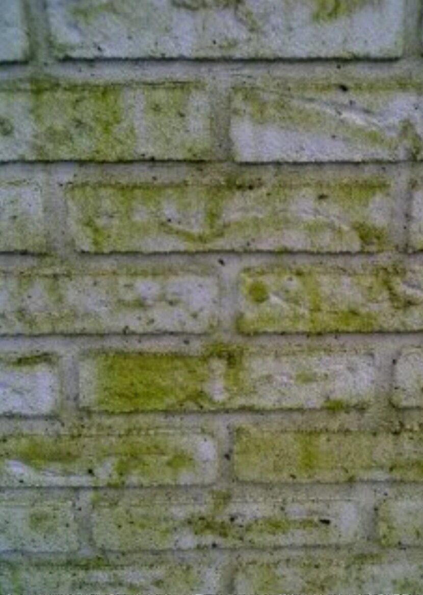 Steinreinigung Anton, Wilhelmstraße 1 in Bad Eilsen