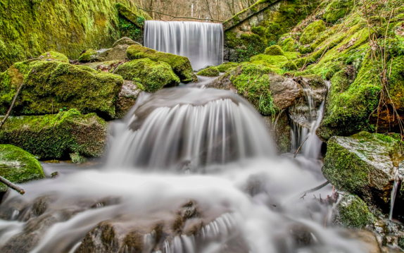 Angela Büchel Bestattungen, Luzernstrasse 9 in Derendingen