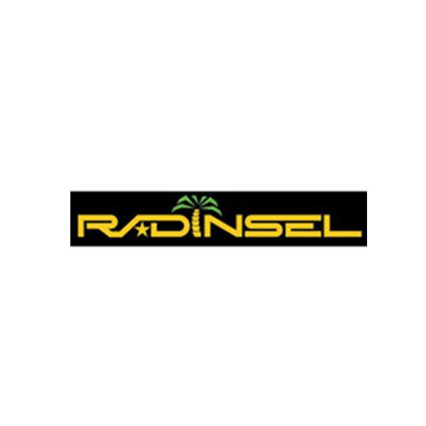 RADINSEL GmbH Logo