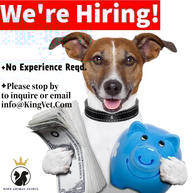 Images King Animal Clinic