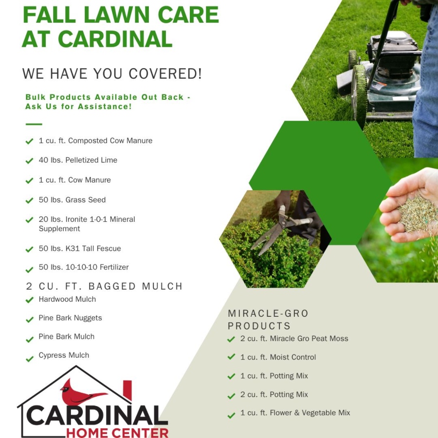 lawn care in fall
