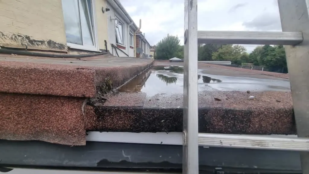 Images Pinnacle Roofing Specialists