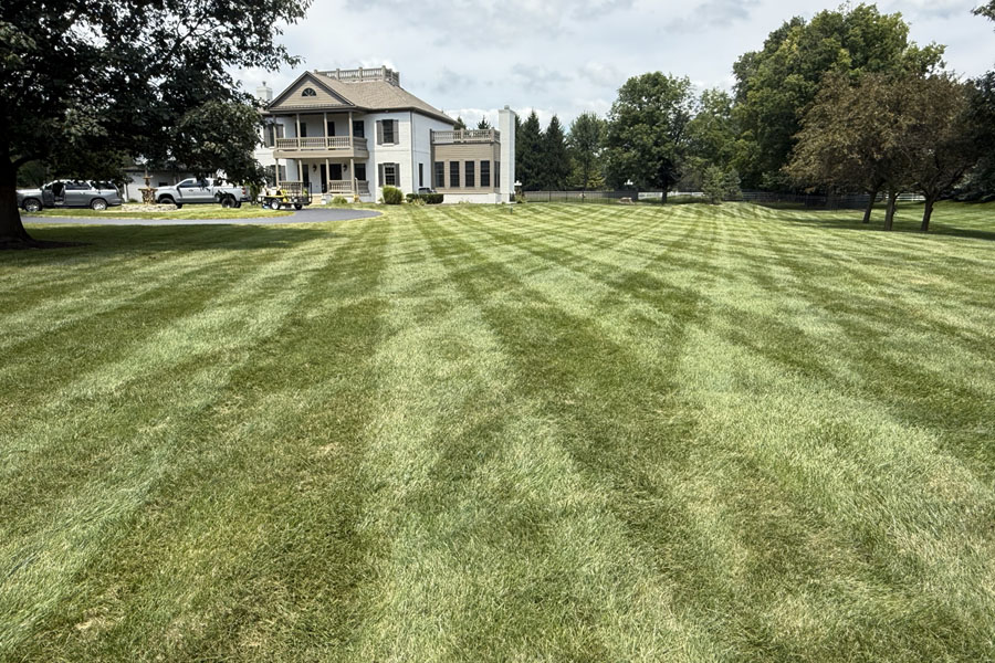 Rooted Lawn & Landscape Image