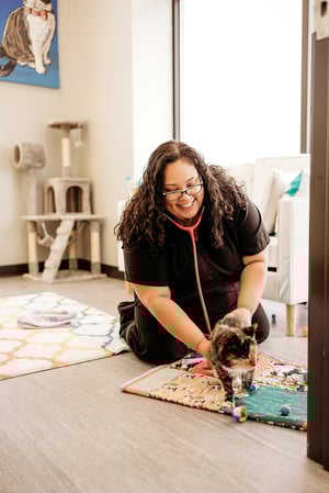Images PetVet365 Pet Hospital Indianapolis / Eagle Creek