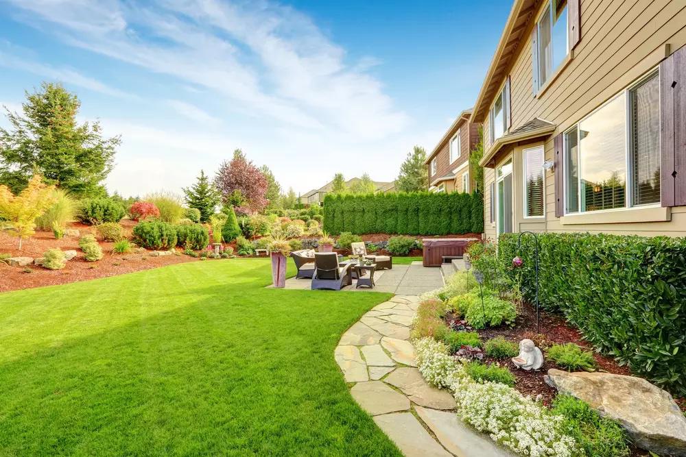 Backyard Landscaping