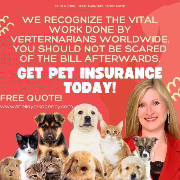 Images Sheila York - State Farm Insurance Agent