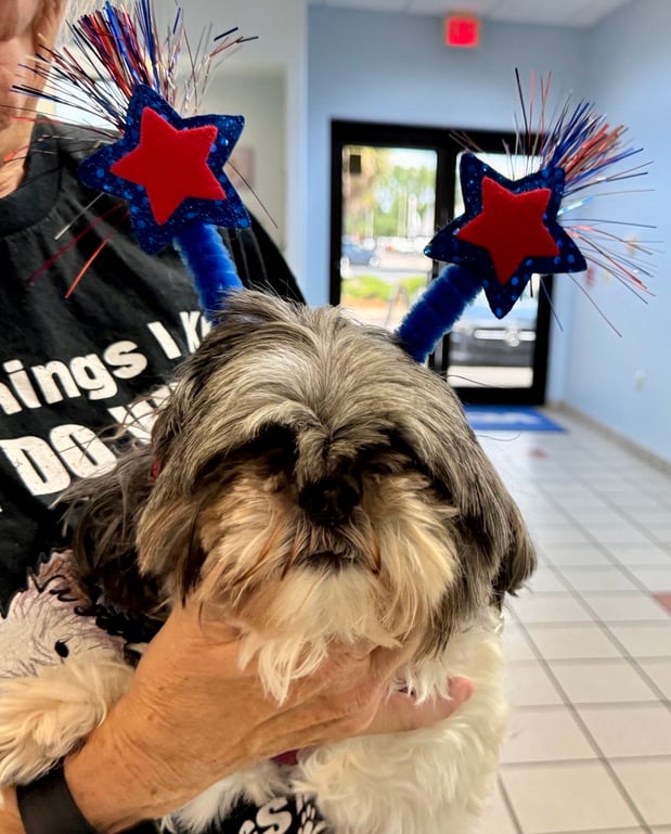 Images VCA Fleming Island Animal Hospital