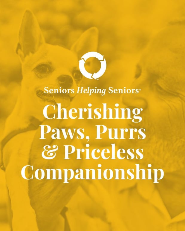 Images Seniors Helping Seniors Inland Empire