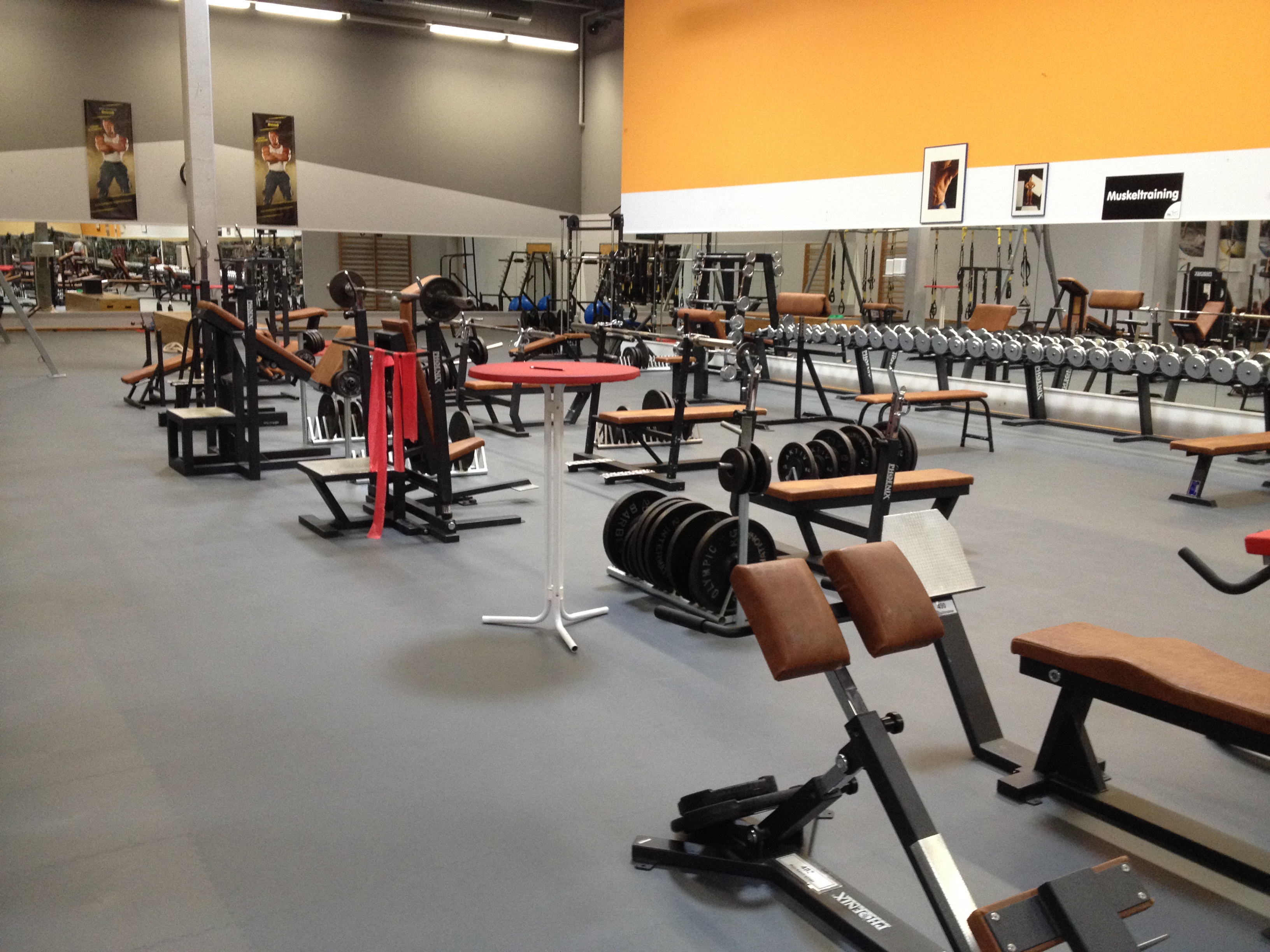 René Heischling Elastic Bodenbelag Handels-GmbH, Bobenheimer Strasse 4 in Worms