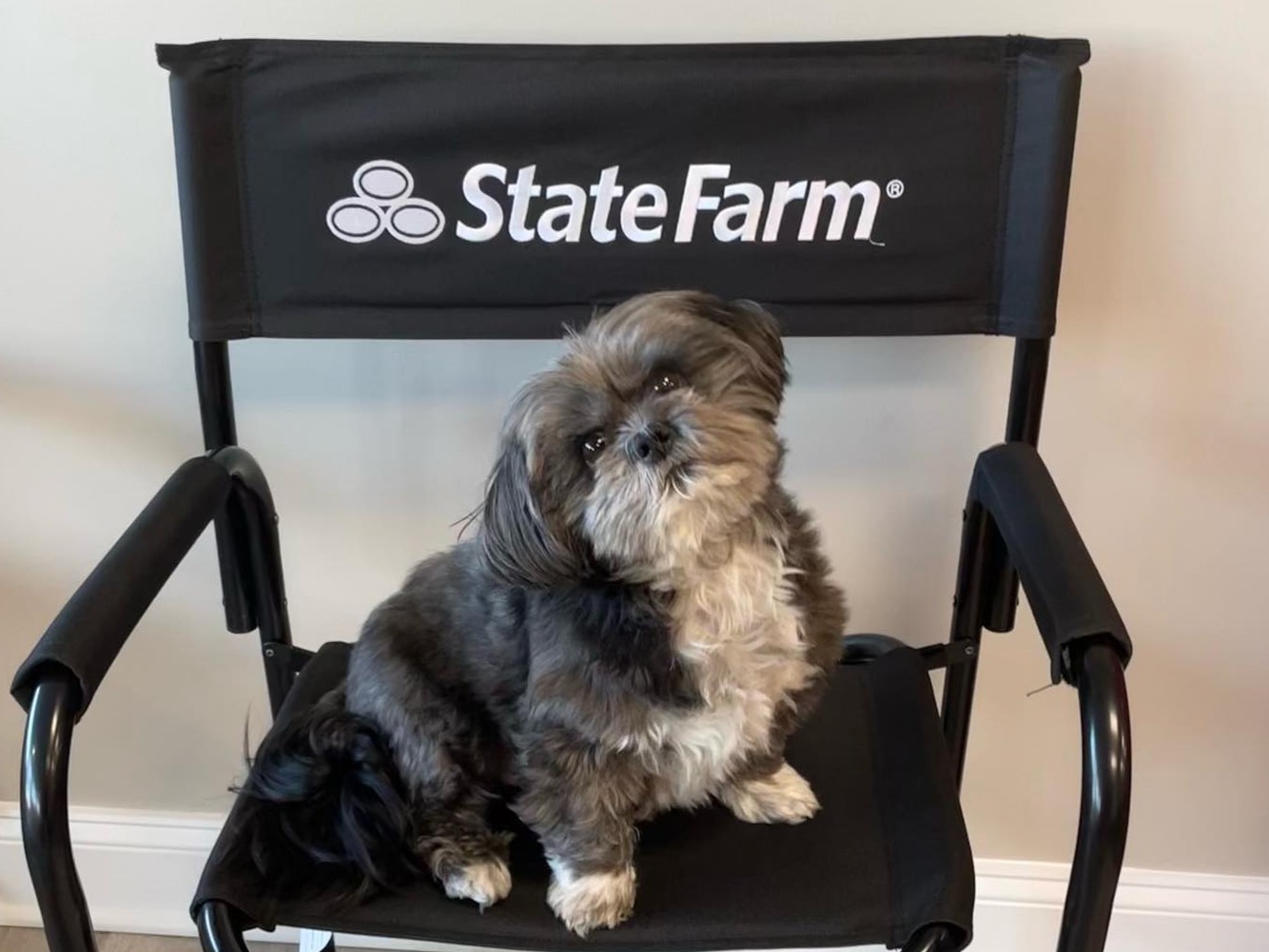 "Come by the West Chester office and say hello to our cutest team member, Jo! He understands vet bills can be really expensive and wants everyone to know that we are now offering pet insurance through Trupanion to our customers.