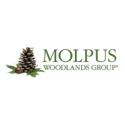 The Molpus Woodlands Group, Llc
