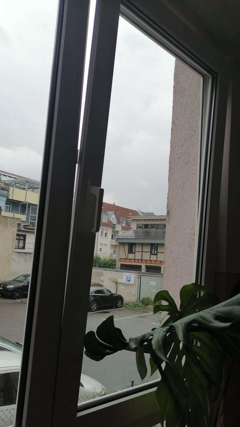 Gebäudereinigung Fiehn in Friesenheim