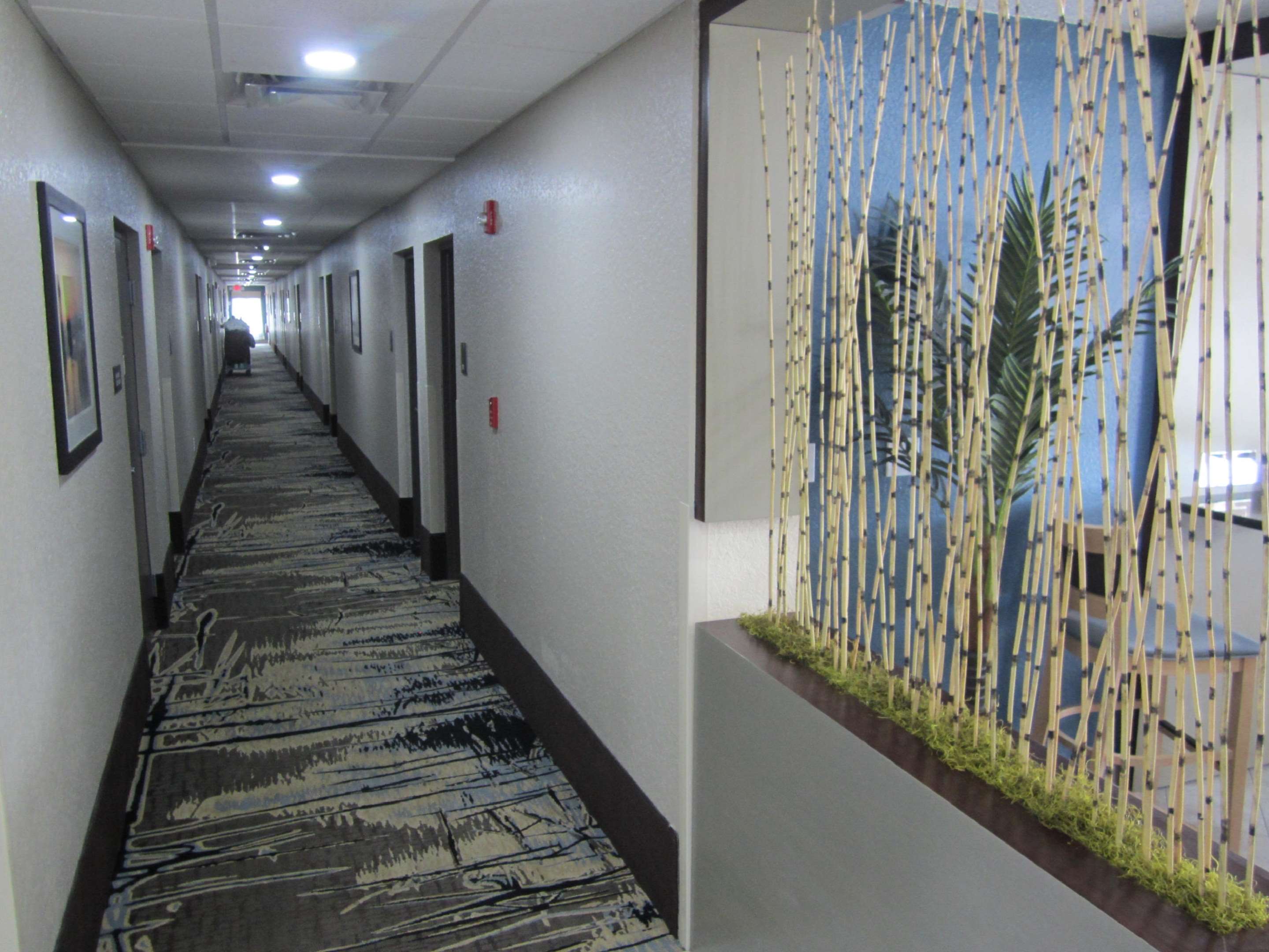 Interior Corridors Best Western Waldo Inn & Suites Waldo (352)468-2500