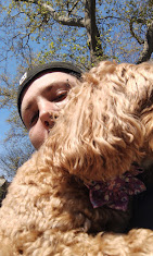 Images Downtown Brooklyn Pet Care