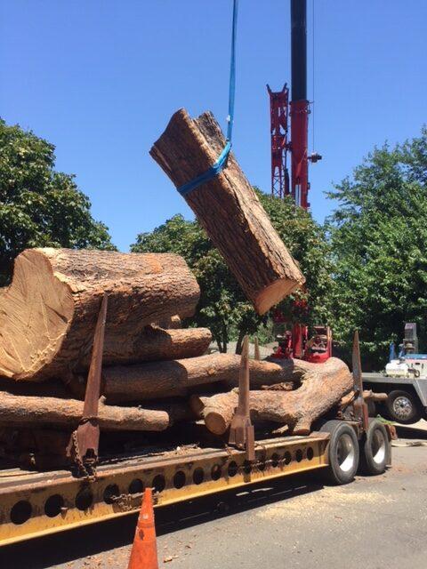 Images Haman Landscape and Tree Service
