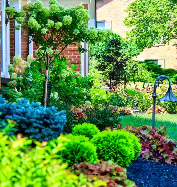 Images Oakwood Lawn & Landscaping