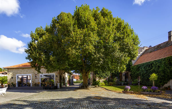 Bilder WEINGUT BREMER GmbH & Co. KG