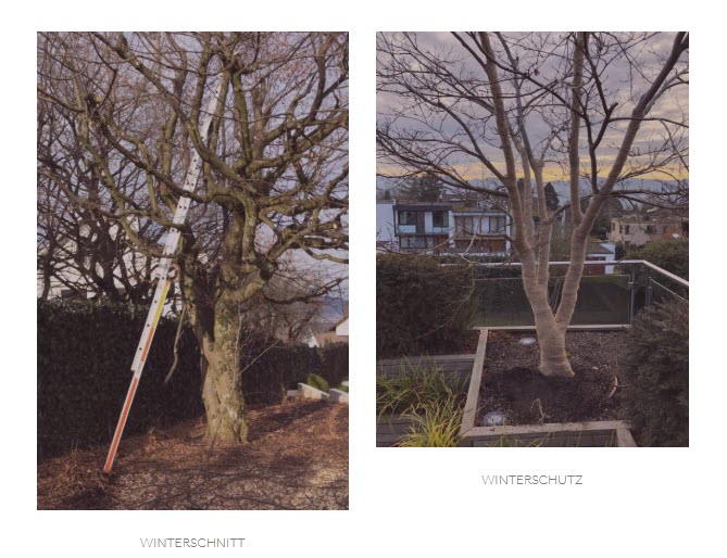 Swiss Gärten, Untere Heslibachstrasse 69 in Küsnacht ZH