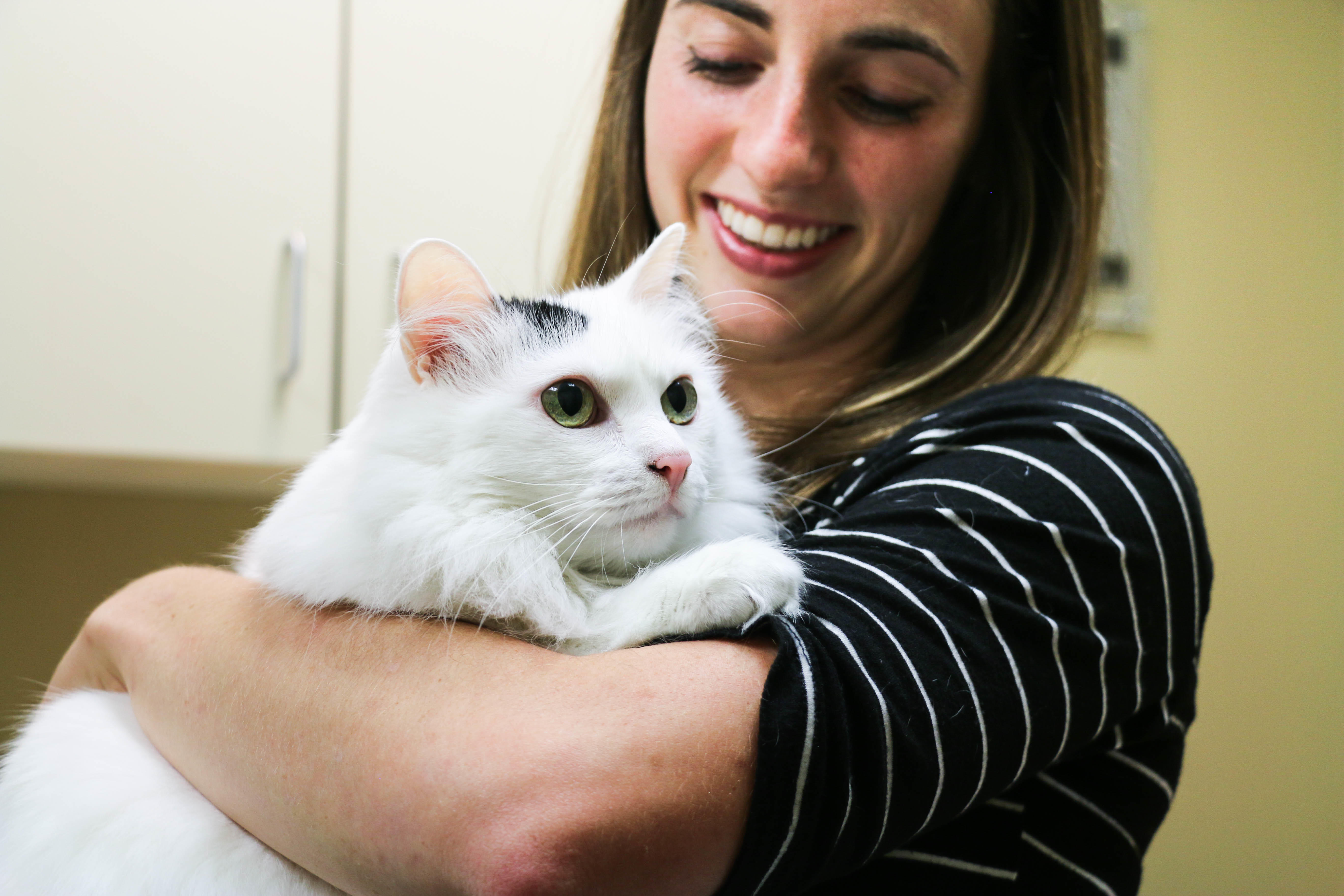 Dr. Madeline Hammond snuggles one her of feline patients