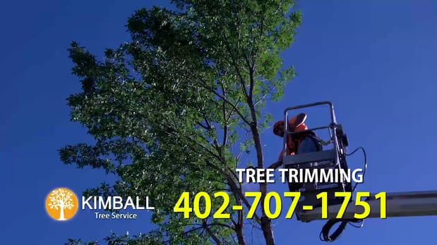 Images Kimball Tree Service