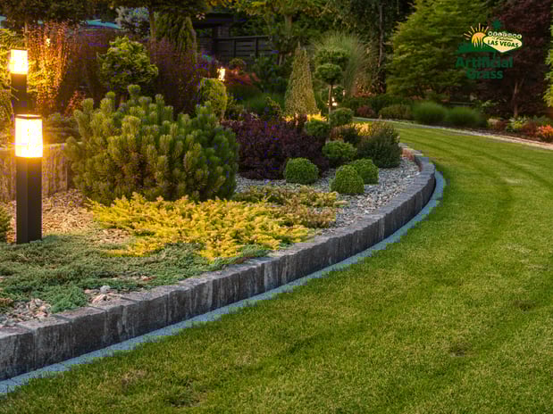 Images Las Vegas Artificial Grass