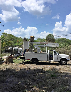 Timberland Tree Solutions LLC Logo