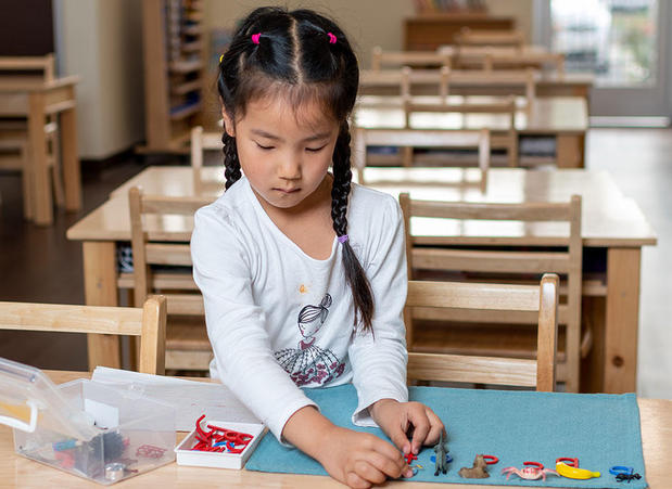 Images Irvine Montessori School