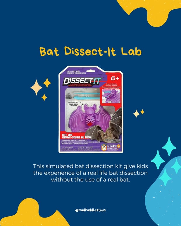 Images Mudpuddles Toys & Books