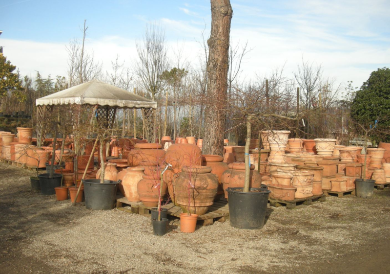 Images Gardenland Vivaio