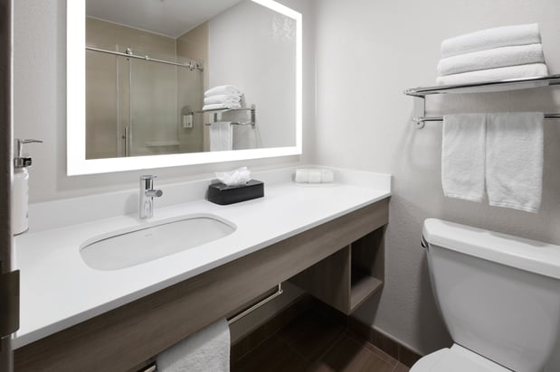 Images Holiday Inn Express & Suites Wyomissing by IHG