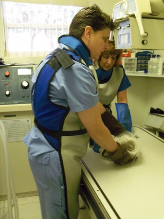 Images VCA Gulf Bay Animal Hospital