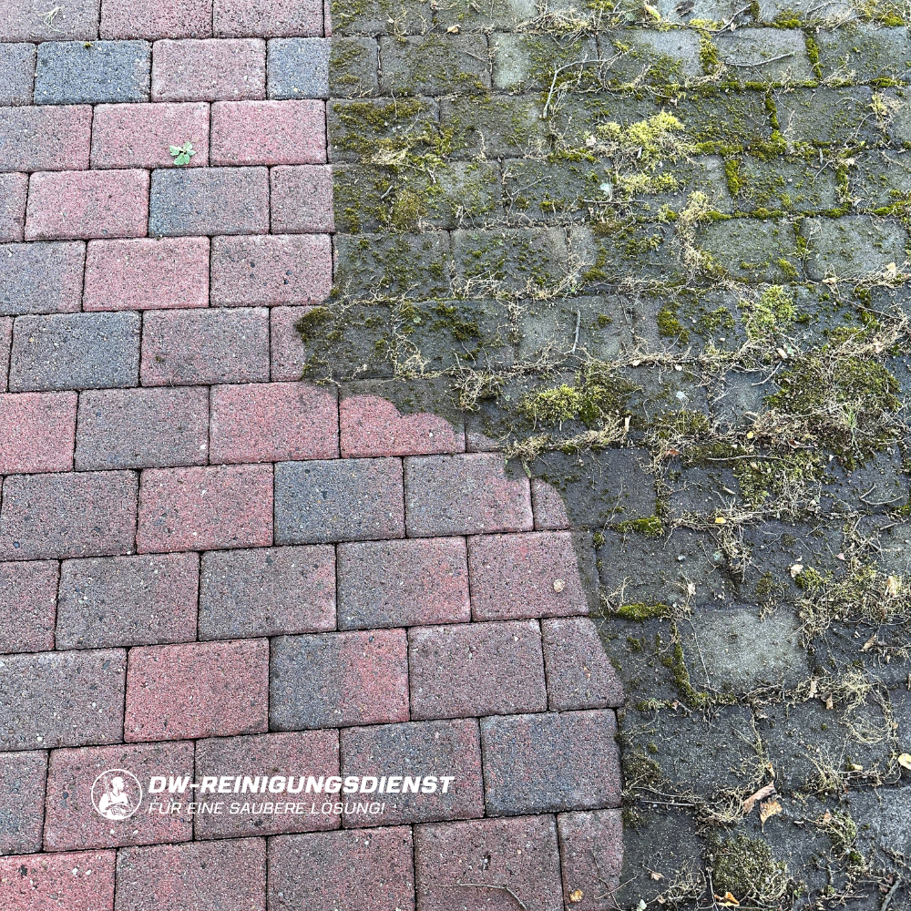 DW Reinigungsdienst | Dachreinigung, Dachbeschichtung & Fassadenreinigung Bremen, Marcusallee 16 in Bremen