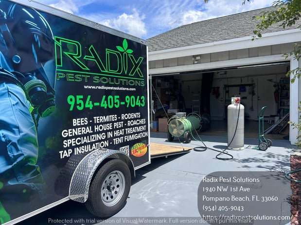 Images Radix Pest Solutions