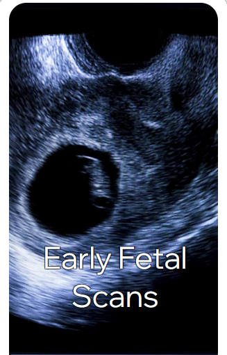 Early Pregnancy / Dating Scan, Fetal Wellbeing Scan, 3D / 4D Scan, Gender Scan, Fetal Anomaly Scan, Transabdominal/Transvaginal Scan, NIPT (Non-Invasive Prenatal Testing), Gender Determination Test, Early Pregnancy Review, Heartbeat Bear, Gender Reveal Cannon, Gender Reveal Balloon