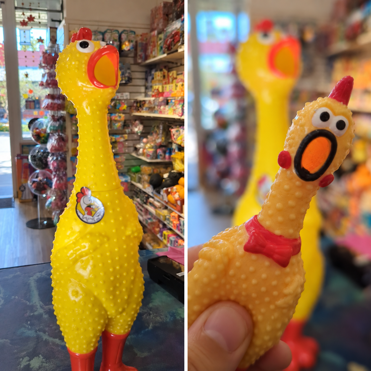 Wakey wakey! Two-foot-tall Giant Rubber Chickens are back at BrainyZoo Toys in Folsom, California. Stop by for silly surprises, gifts, and big laughs with these delightfully goofy toy-store favorites!
