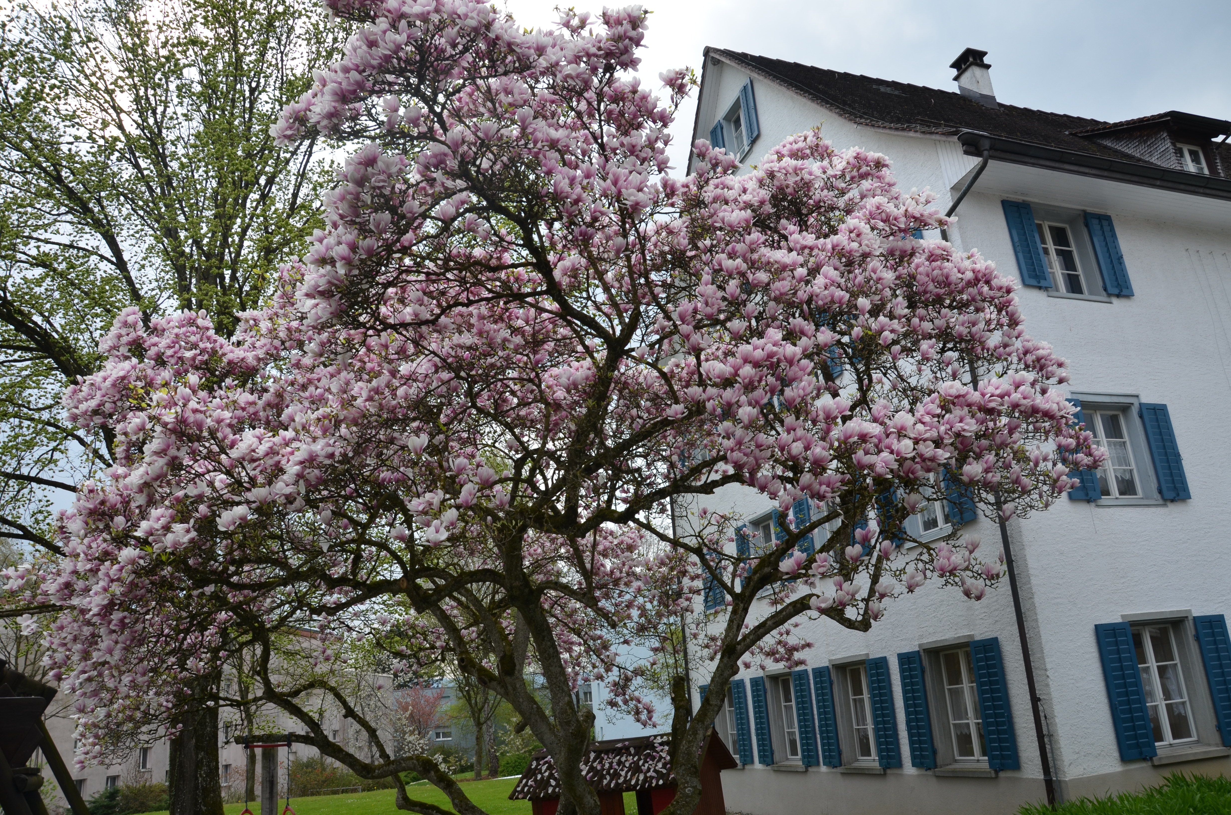 DIE ALTERNATIVE, Affolternstrasse 40 in Ottenbach